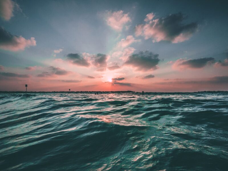 Bary na paskale - foto