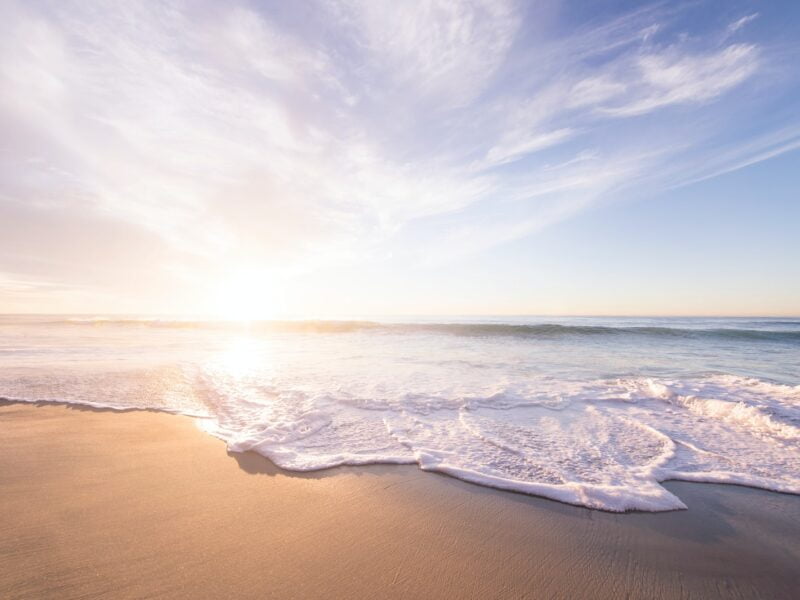 Paskale na bary foto