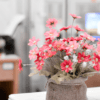 Jakie kwiaty sprawdzą się idealnie w wystroju biura - foto