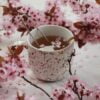 Herbaty japońskie: Bancha i Sencha - podstawy kultury picia herbaty w Kraju Kwitnącej Wiśni - foto