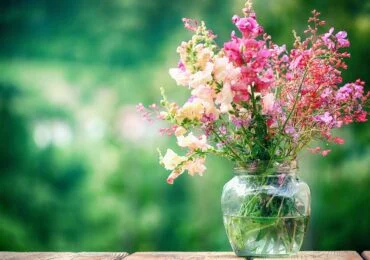 W jakim wazonie umieścić kwiaty, by ładnie je wyeksponować?