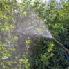 Ochrona roślin w ekstremalnych warunkach: Rola zaawansowanych opryskiwaczy i smarów