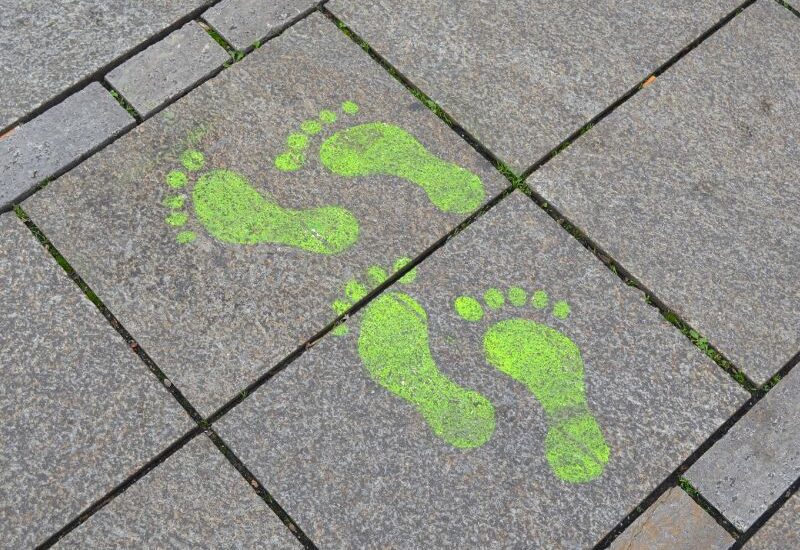 Dlaczego dwa kalkulatory śladu węglowego mogą dawać różne wyniki? 2 ślad węglowy